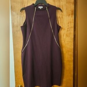 Calvin Klein Purple Dress with Gold Zippers